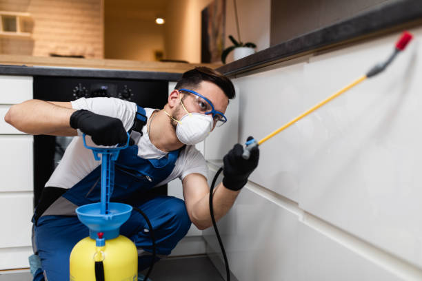 Best Wasp Removal Services  in Erie, IL