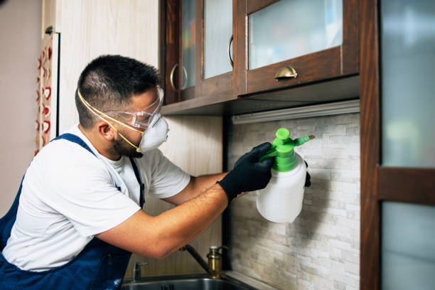 Best Best Pest Control Companies  in Erie, IL