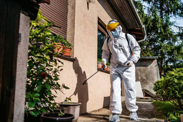 Best Affordable Pest Control Services  in Erie, IL