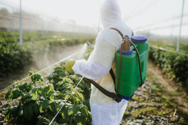 Best Local Pest Control Services  in Erie, IL
